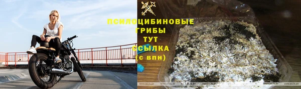 мяу мяу мука Гусь-Хрустальный