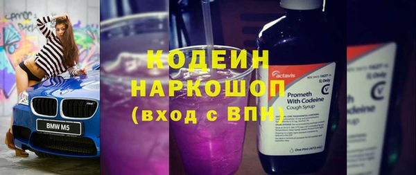 тгк Гусев