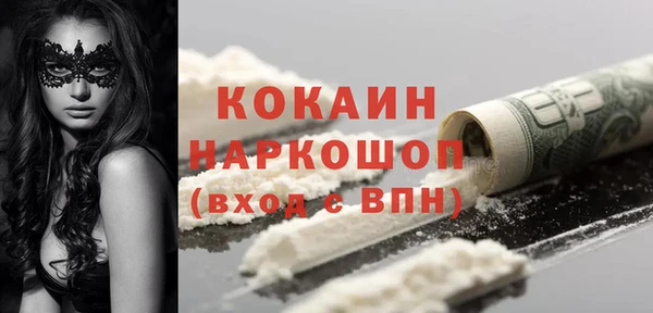 тгк Гусев