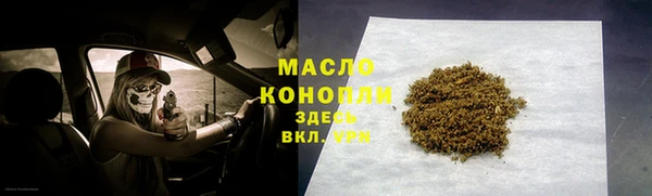 тгк Гусев