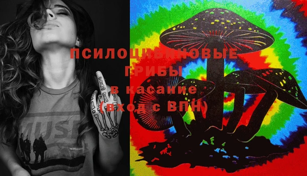 мяу мяу мука Гусь-Хрустальный