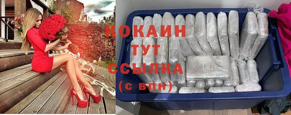 тгк Гусев