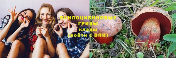 тгк Гусев