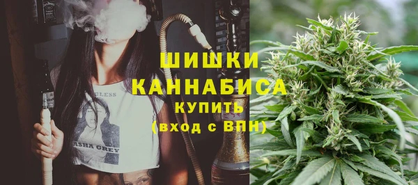 мяу мяу мука Гусь-Хрустальный