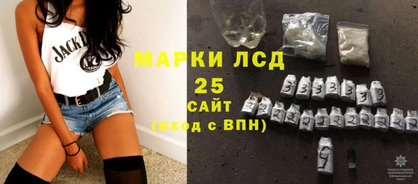 тгк Гусев