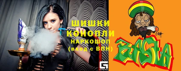 тгк Гусев