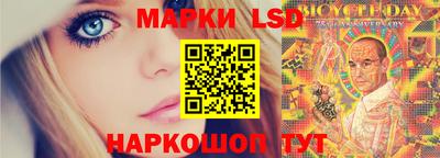 spice Гай