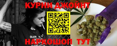 spice Гай
