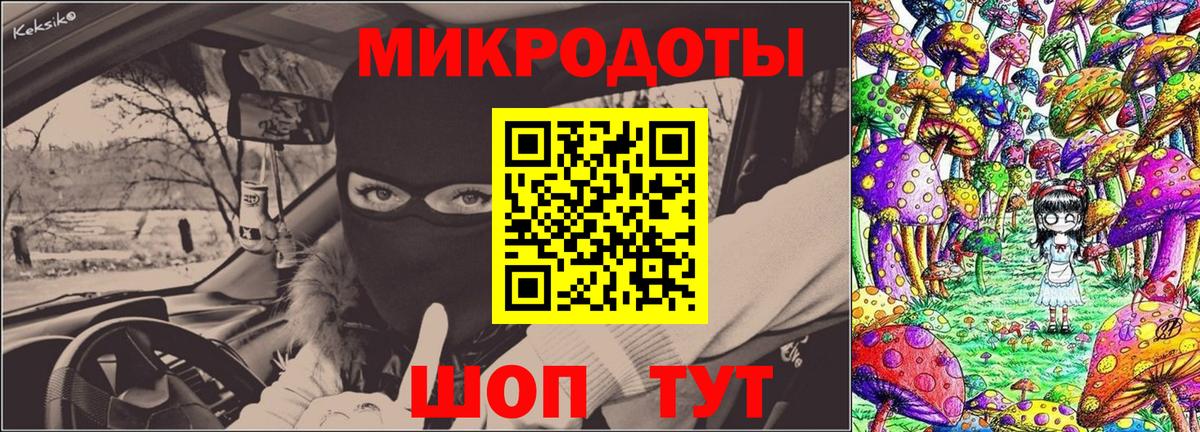Зеленогорск  как найти закладки  Вход с VPN  Псилоцибиновые грибы Psilocybine cubensis 